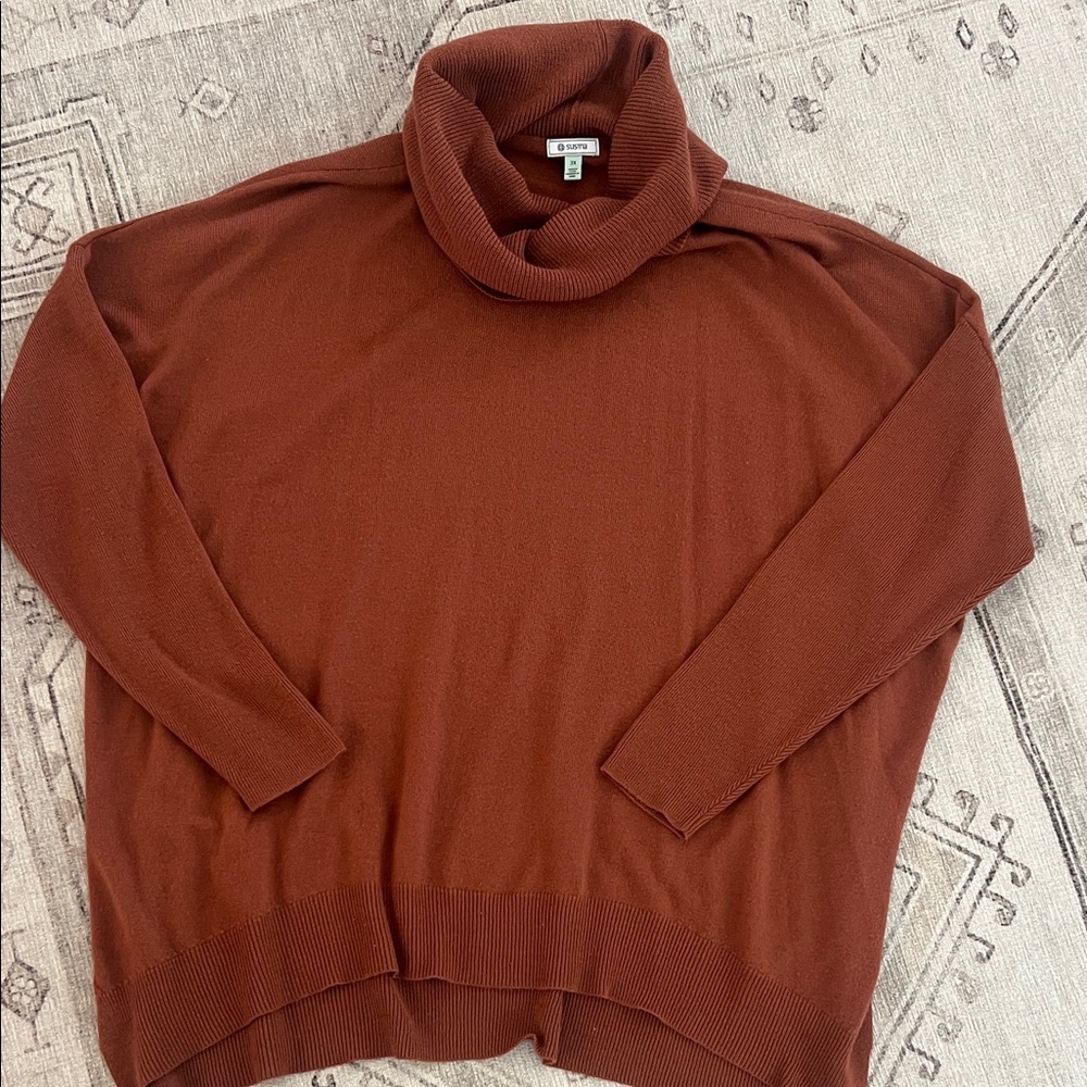 Susina Rust Turtleneck Sweater